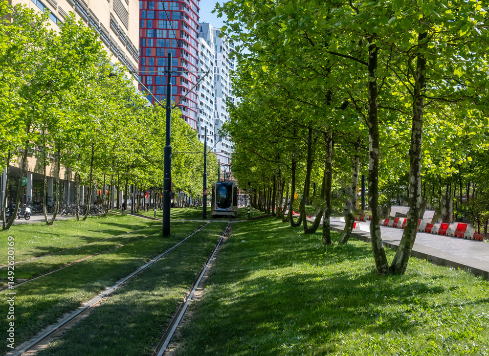 Tram in Rotterdam city, public transportation, sunny day in Netherlands Holland