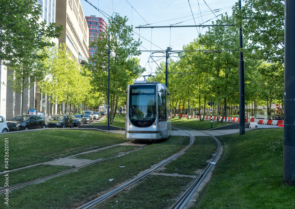 Tram in Rotterdam city, public transportation, sunny day in Netherlands Holland