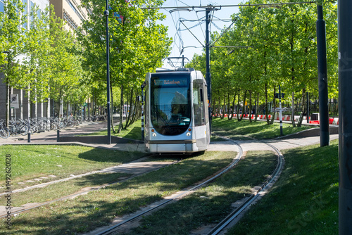 Tram in Rotterdam city, public transportation, sunny day in Netherlands Holland