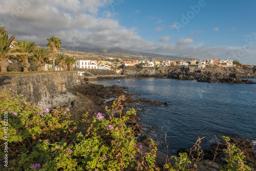 Views of the picturesque Alcala village with traditional architecture houses, small tranquil cove with beach and pier. Pink flowers in foreground, selective focus. Tenerife, Canary Islands, Spain
