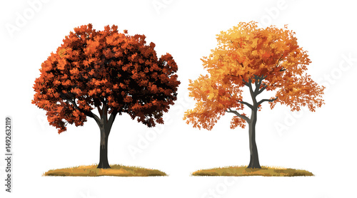 Vector illustration of autumn Quercus palustris and Quercus phellos trees cutout, seasonal foliage, oak leaves, fall nature elements, isolated tree silhouettes, forest design.