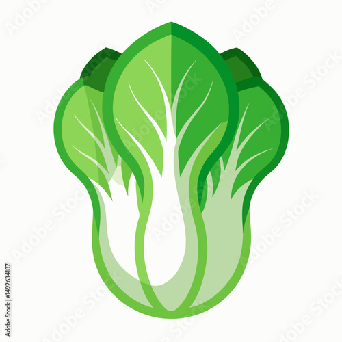 Bok Choy icon on white background