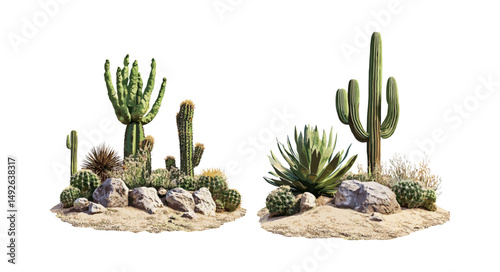 Vector illustration of Carnegiea gigantea and Stenocereus thurberi cactus set in sunny daylight, isolated frontal view, desert plants, southwestern flora, arid landscape cutout.