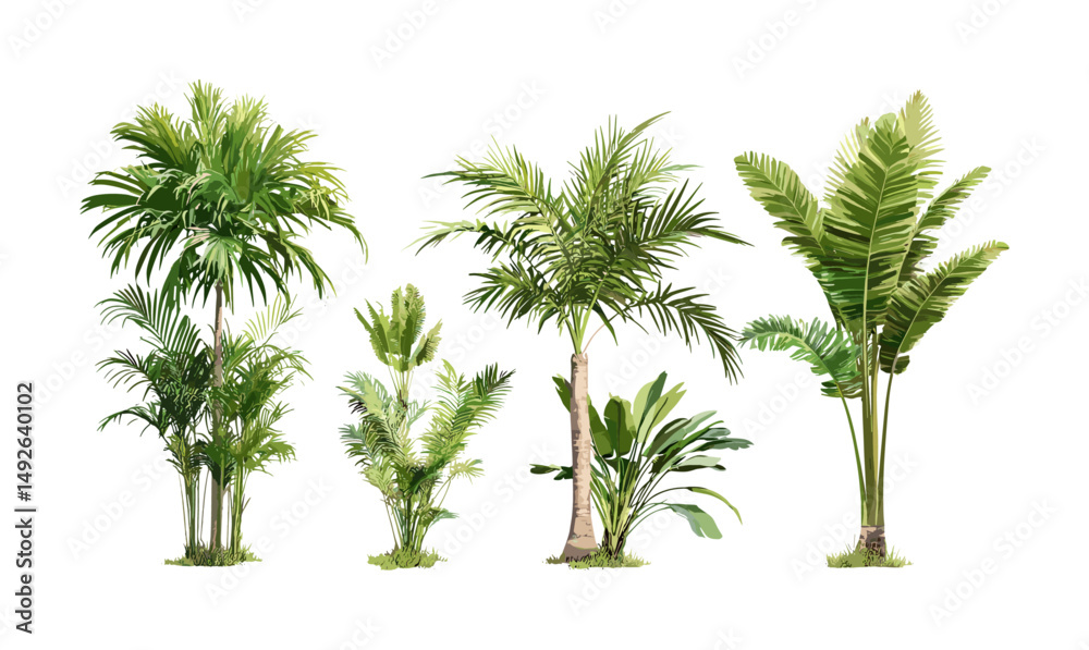 Fototapeta premium Brahea moorei and Chamaedorea radicalis small palm trees isolated cutout, vector illustration, exotic tropical greenery, botanical art, landscaping plants, nature elements.