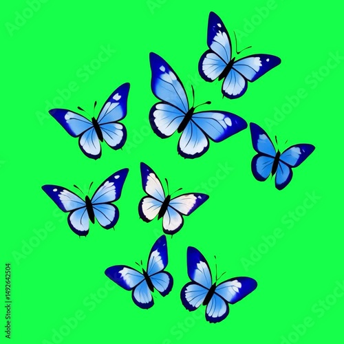 Wallpaper Mural Blue butterflies animation, transparent 4K video, green screen Torontodigital.ca