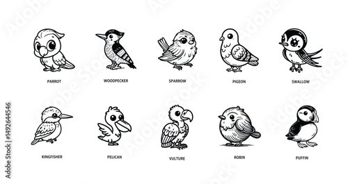 Cartoon Birds Set 