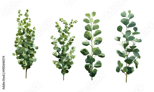 nazimrocks2024_Set_of_Eucalyptus_citriodora_and_Amygdalina_bl_bf740105-91c4-4055-a0e4-4c446bafbbe4_1
