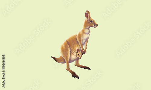 Illustration of a cartoon kangaroo with a joey in its pouch on a pink background