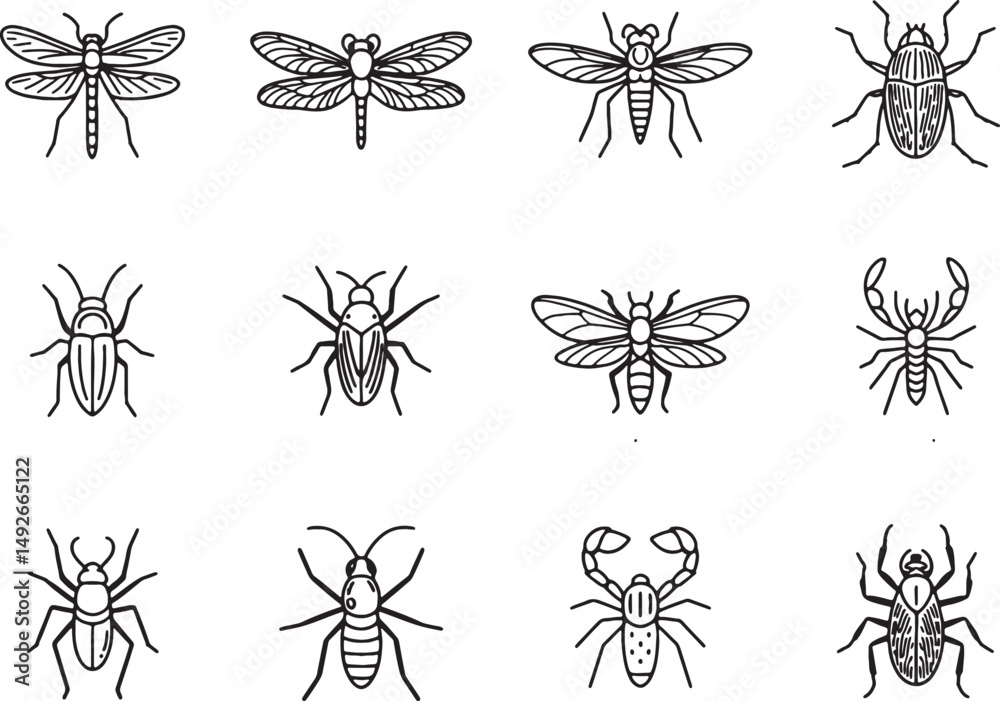Collection of insects and arachnids line art illustrations Collection of insects and arachnids line art illustrations