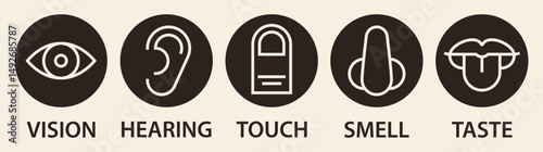 Five senses icon set. Human sense organs. Taste, sight, touch, smell, hearing symbols. Eye, ear, finger, nose and lips signs.