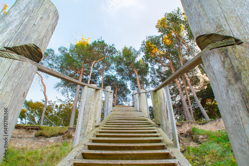 Wooden stairs leading up to the trees.