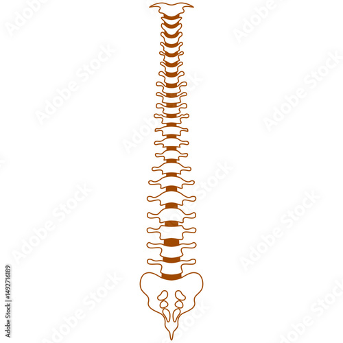 Backbones icon logo design