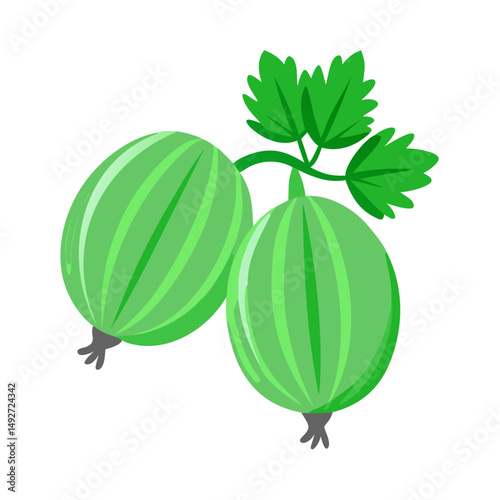 Two green gooseberries with leaves isolated on black background