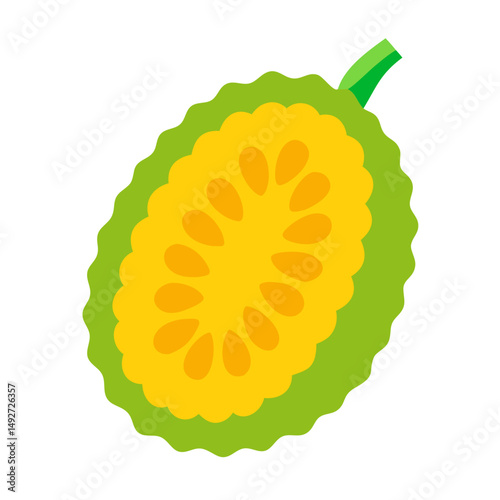 Flat illustration of a cross-section of bitter melon