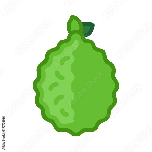 Stylized light green bergamot illustration on pure black background