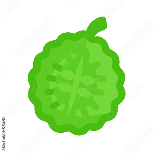 Graphic flat icon of slice of bitter melon fruit
