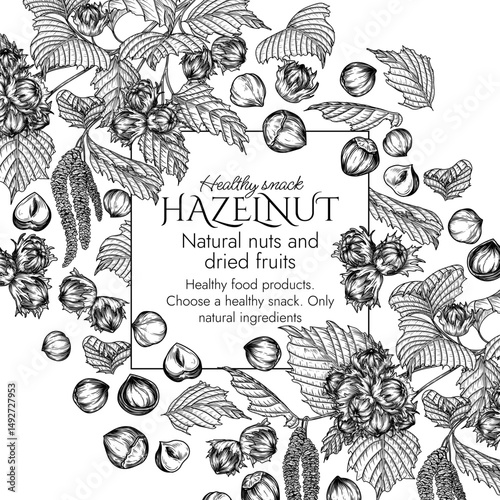 Vector template with hazelnut branch in engraving style. Graphic banner with forest nuts on tree. Frame with growing healthy snack. Nuts in shell and cut