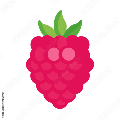 Vibrant raspberry illustration in flat style against black backdrop