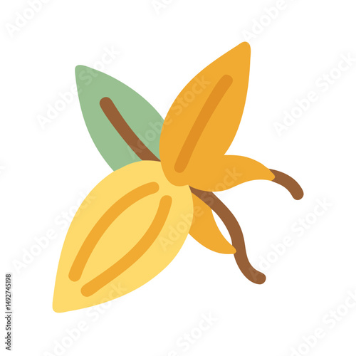 Stylized vanilla bean pod flat vector illustration artwork