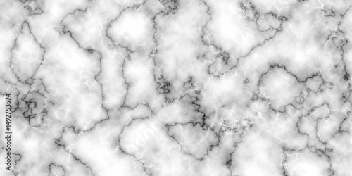 Abstract Marble with high resolution. Modern White and black marble texture. Natural stone Marble white background wall surface black pattern. Stone ceramic art wall interiors backdrop design.