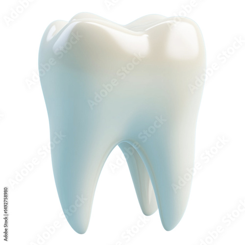 3D tooth on transparent png background