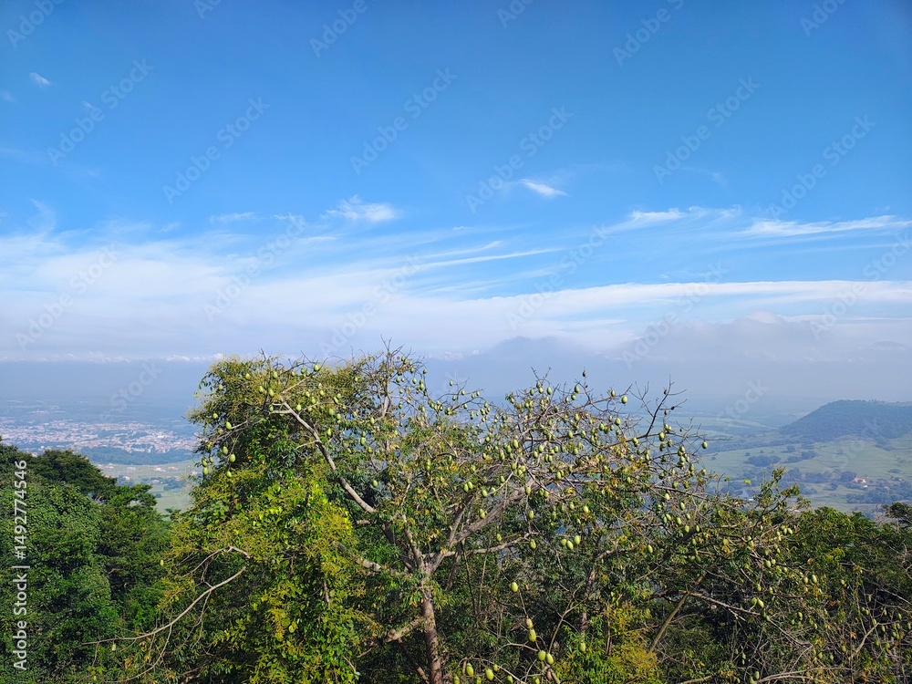 Fototapeta premium paisagem vista do mirante