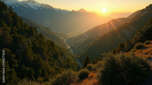 Aerial view of Bertiz Forest, Spain, during sunrise, with sunlight filtering through trees, creating a serene scene.
