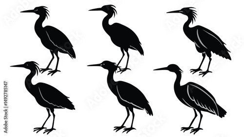 Heron Silhouette Vector Illustration Set: Elegant Bird Outlines for Wildlife and Nature-Themed Design Projects