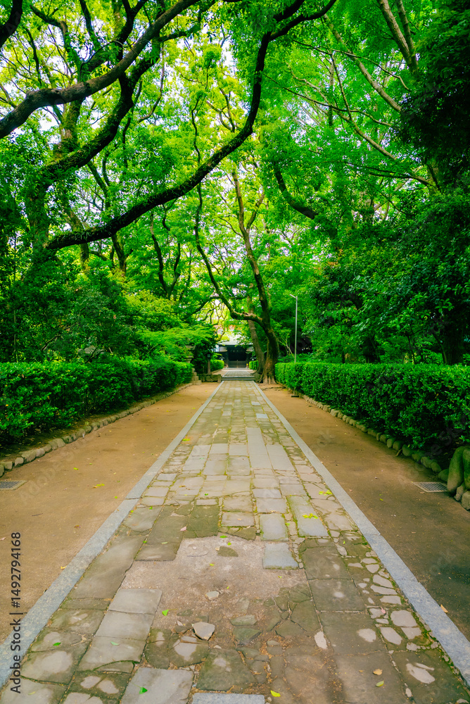 Obraz premium Fukuoka, Hakozakigu Shrine 