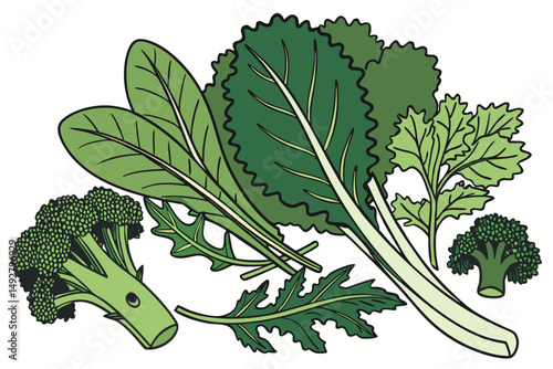 46 green leaves, fresh mint, spinach, lettuce, kale, cabbage, broccoli, assorted greens, healthy food, organic produce, natural background, studio shot, high contrast, vibrant colors, still life photo