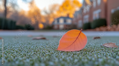 Autumn leaf on frosted ground
