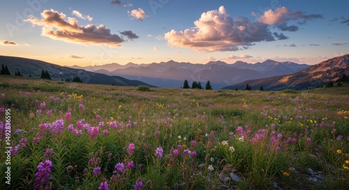 Fototapeta Naklejka Na Ścianę i Meble -  Serene Sunset over Wildflower Meadow and Mountain Range Landscape