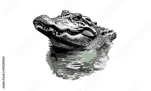 Vintage Wildlife Drawing, Alligator Lurking in Water, Hand-etched Reptile Line Art, Monochrome Etching, Rustic Animal Print, Southern Fauna Wall Decor