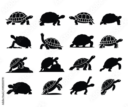 Turtle Tortoise Silhouette Vector Set Wildlife Animal Bundle Design with white background.