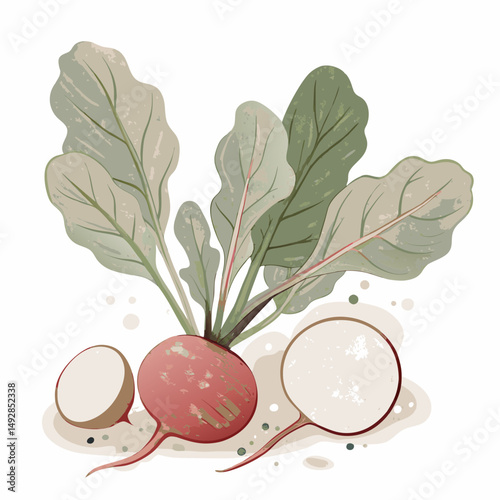 Charming Watercolor Radish with Lush Leaves Artfully Highlighting Natural Beauty and Organic Freshness in a Rustic Farm-to-Table Style Illustration