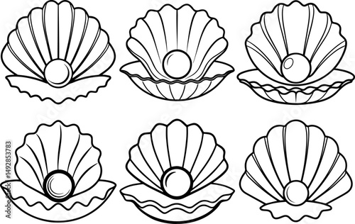 Set of Sea shell with pearl icon outline vector illustration line art
