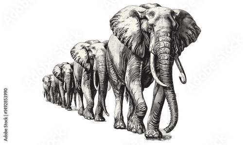 Vintage Elephant Line Art, Antique Safari Animal Etching, Retro Fauna Sketch, Rustic Nature Print, Monochrome Wildlife Drawing, Traditional Engraved Illustration