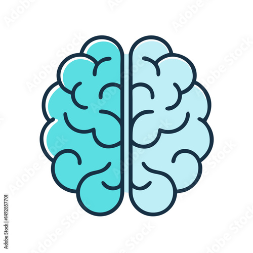 Human brain illustration representing intellect and cognitive functions