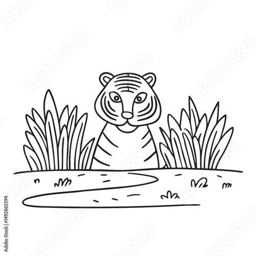 A tiger peeking from bushes