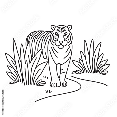 A tiger peeking from bushes near a dirt path