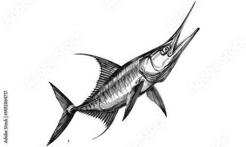 Hand-drawn Marlin Engraving, Antique Ocean Predator, Sword-like Bill, Vintage Wildlife Illustration, Monochrome Retro Etching, Black Sketch, Old Engraving Style, nature ocean art