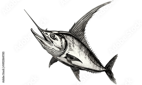 Antique Engraving of Marlin, Sword-like Bill Marine Predator, Hand-drawn Vintage Ocean Wildlife Illustration, Monochrome Retro Etching, Black Sketch, Old Engraving Style,