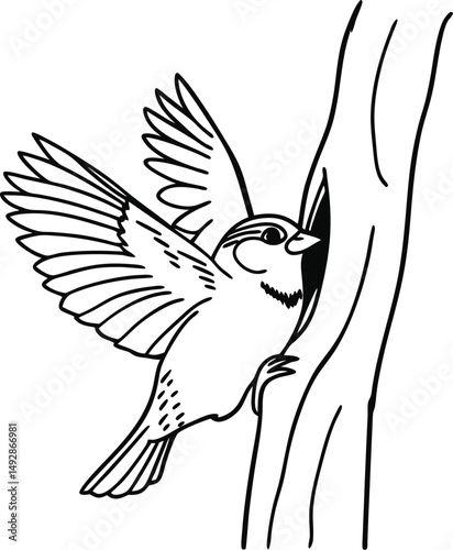Line Art Sparrow Flying to Tree Hollow Illustration