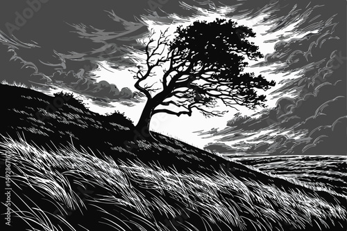 62 a dramatic black and white landscape, a lone tree standing on a windswept hill, dramatic flowing grass and sky, cinematic lighting, highly detailed, intricate, atmospheric, moody, dramatic, landsca