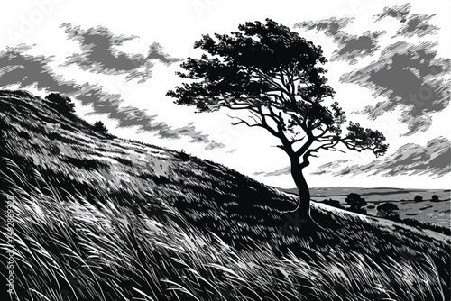 62 a dramatic black and white landscape, a lone tree standing on a windswept hill, dramatic flowing grass and sky, cinematic lighting, highly detailed, intricate, atmospheric, moody, dramatic, landsca