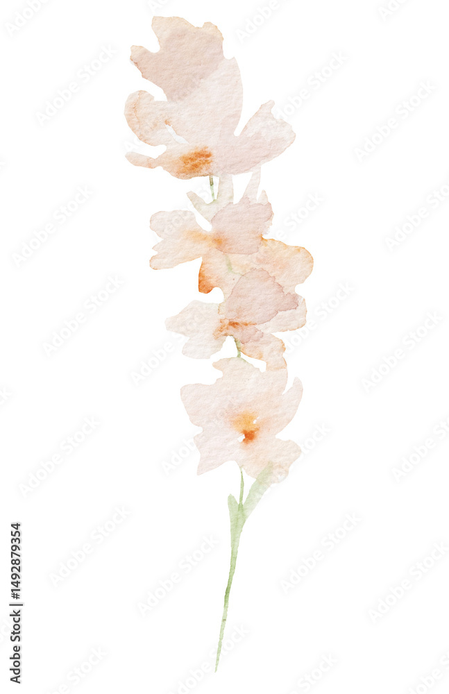 Fototapeta premium Watercolor light pink wild flowers isolated illustration, floral wedding and greeting element