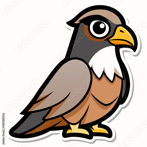 bird of prey