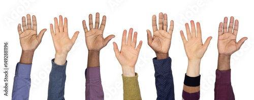 Hands up isolated on white or transparent background