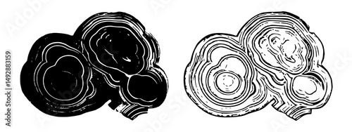 Abstract Black and White Geode Slice Illustration Showing Concentric Circular Layers and Organic Patterns Inspired by Mineral and Rock Formations