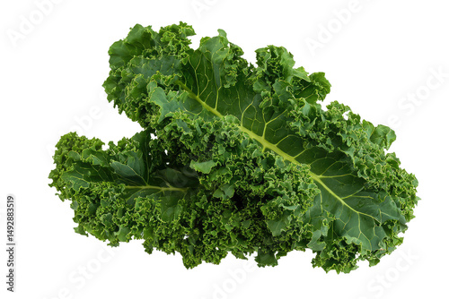 A close up shot of two vibrant green kale leaves with textured edges on a dark background studio shot on transparent background